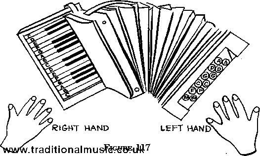 accordion & hands